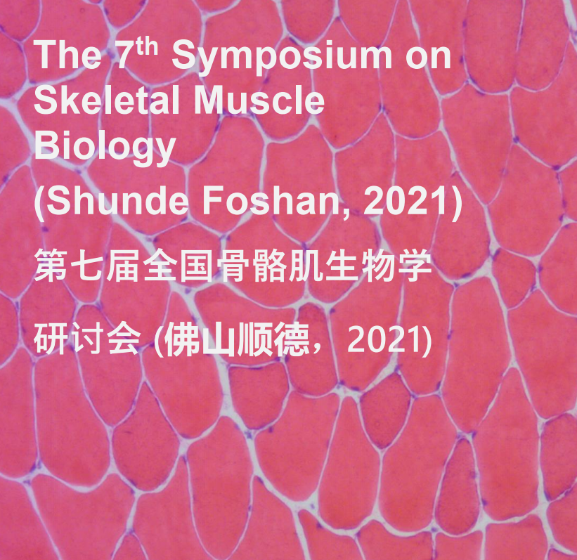 QQ截图20211207095055.png QQ截图20211207095055.png